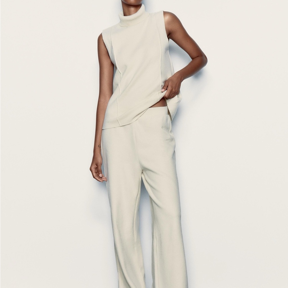 Zara Basic Plush Jogger Pant - Picture 1 of 3